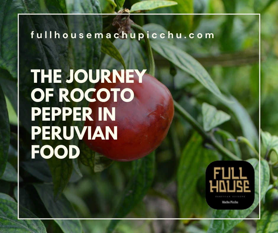 The Journey of Rocoto Pepper in Peruvian Food