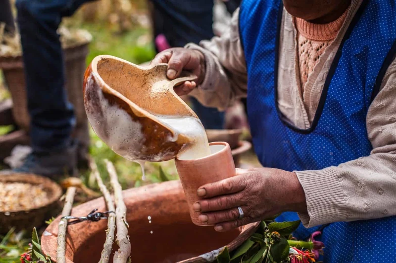 Peruvian Chicha: The Traditional Fermented Beverages of Peru