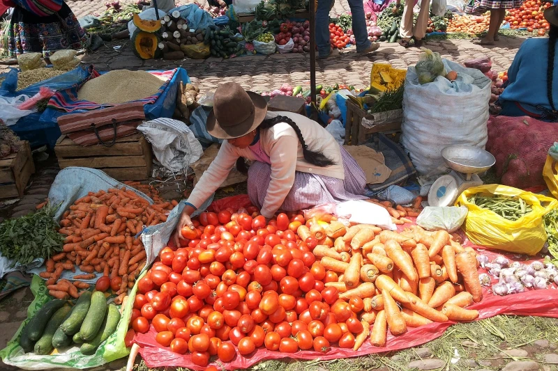 Cusco's Culinary Heritage: Preserving the Ancient Andean Flavors