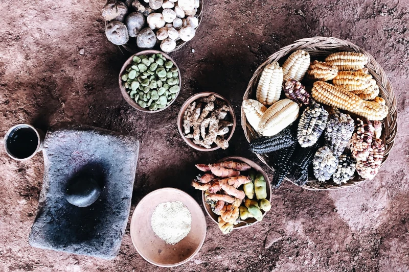The Influence of Indigenous Cultures on Peruvian Food