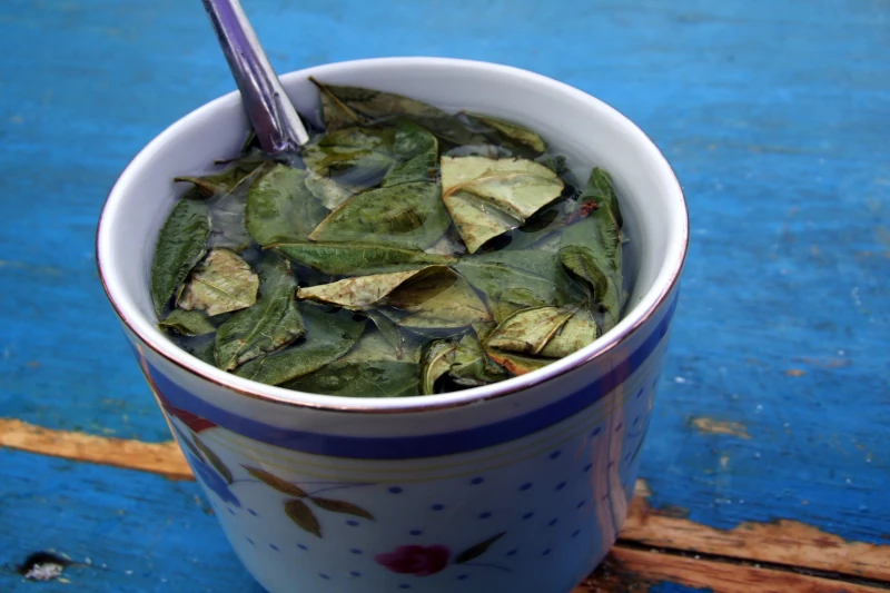 Peruvian Beverages