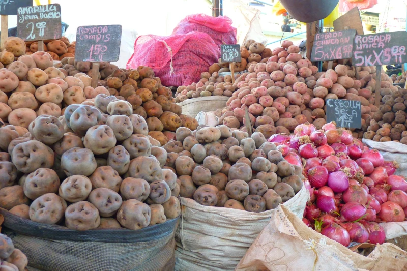 Discovering the Secrets of Peruvian Vegetarian Cuisine