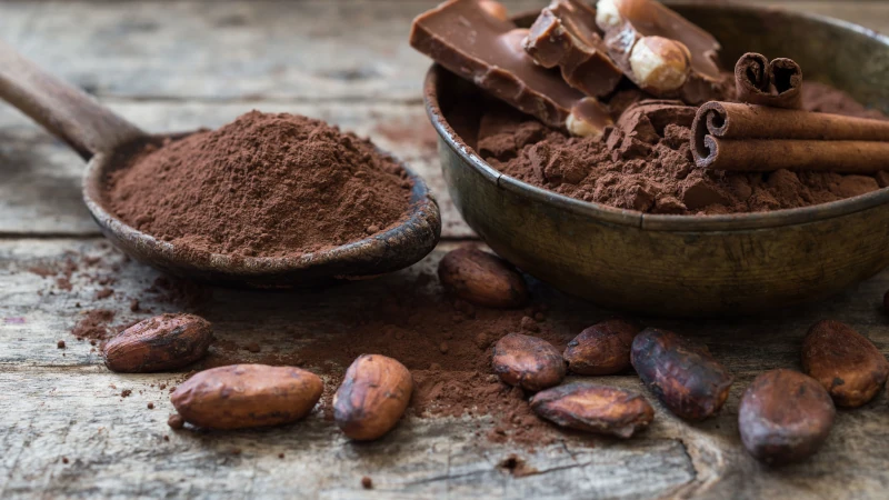 The Richness of the Amazon: Celebrating Peruvian Cacao