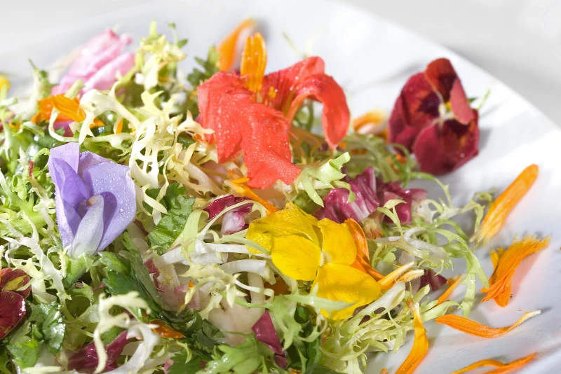 Edible Flowers