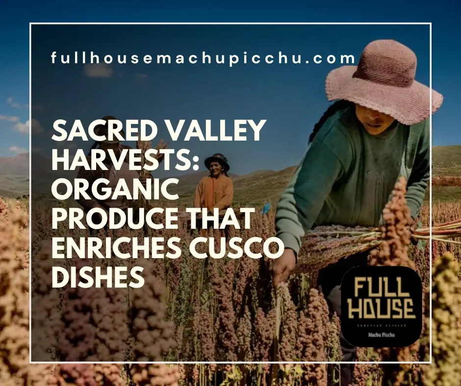 Sacred Valley Harvests: Organic Produce that Enriches Cusco Dishes