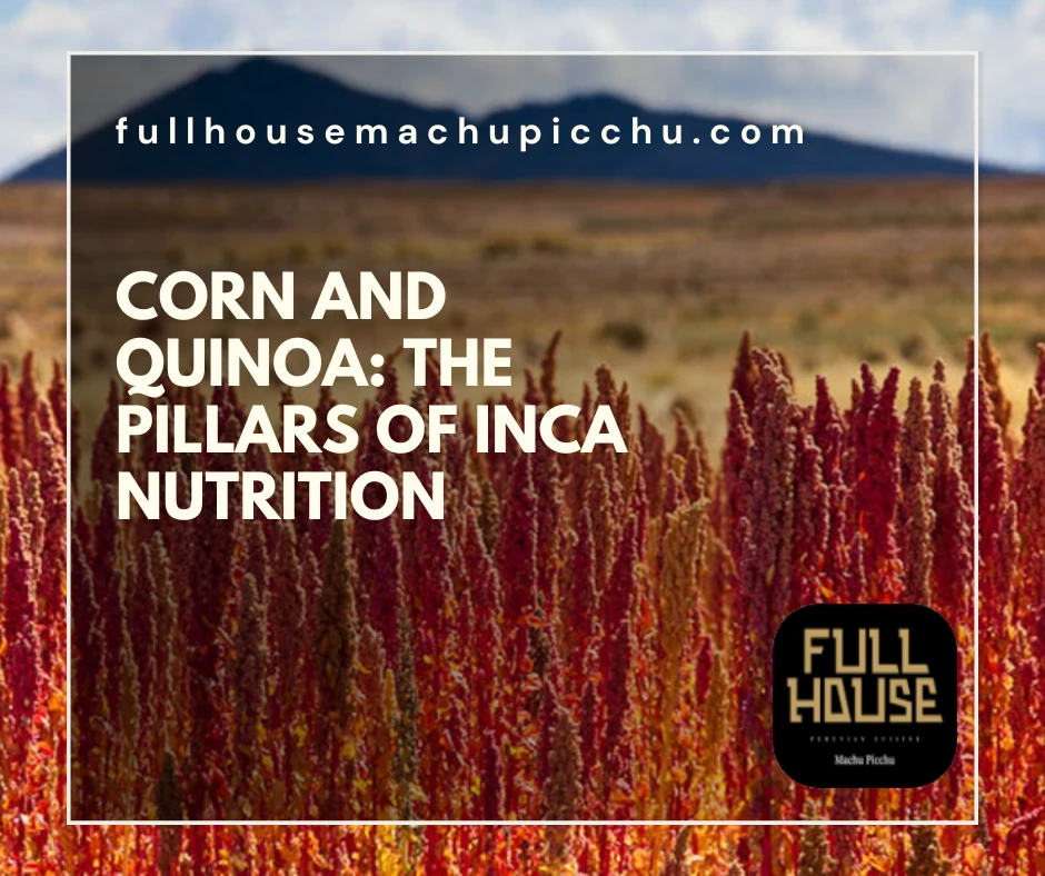 Corn and Quinoa: The Pillars of Inca Nutrition