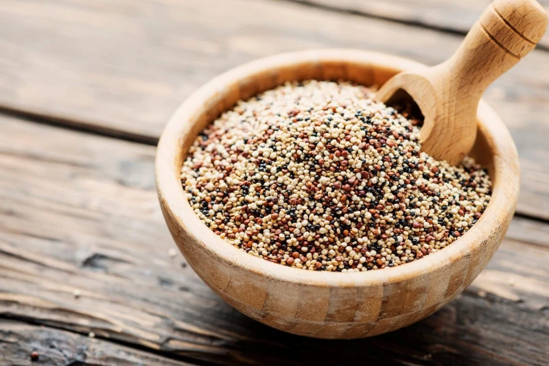 Corn and Quinoa: The Pillars of Inca Nutrition