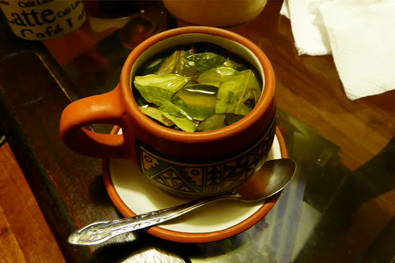 Andean Teas And Infusions: From Coca Leaves To Muña