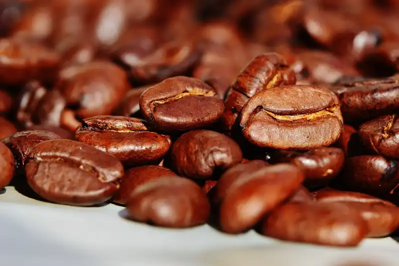 Peru's Coffee