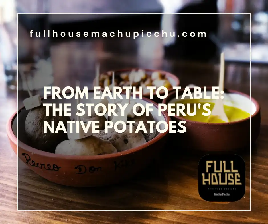 From Earth to Table: The Story of Peru’s Native Potatoes