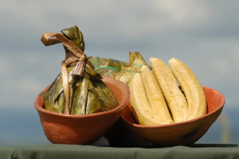Amazonian Cuisine in Peru