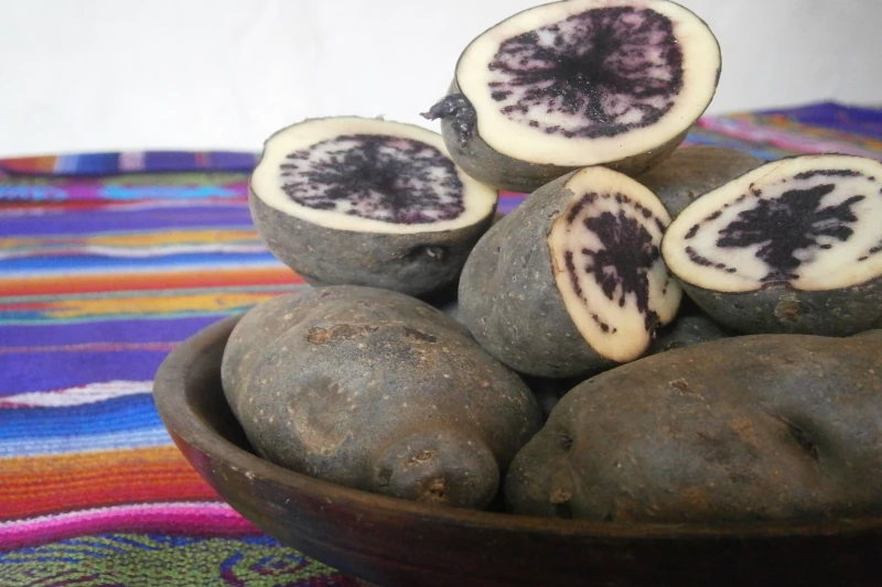 How to Enjoy the Andean Potato in Peruvian Cuisine