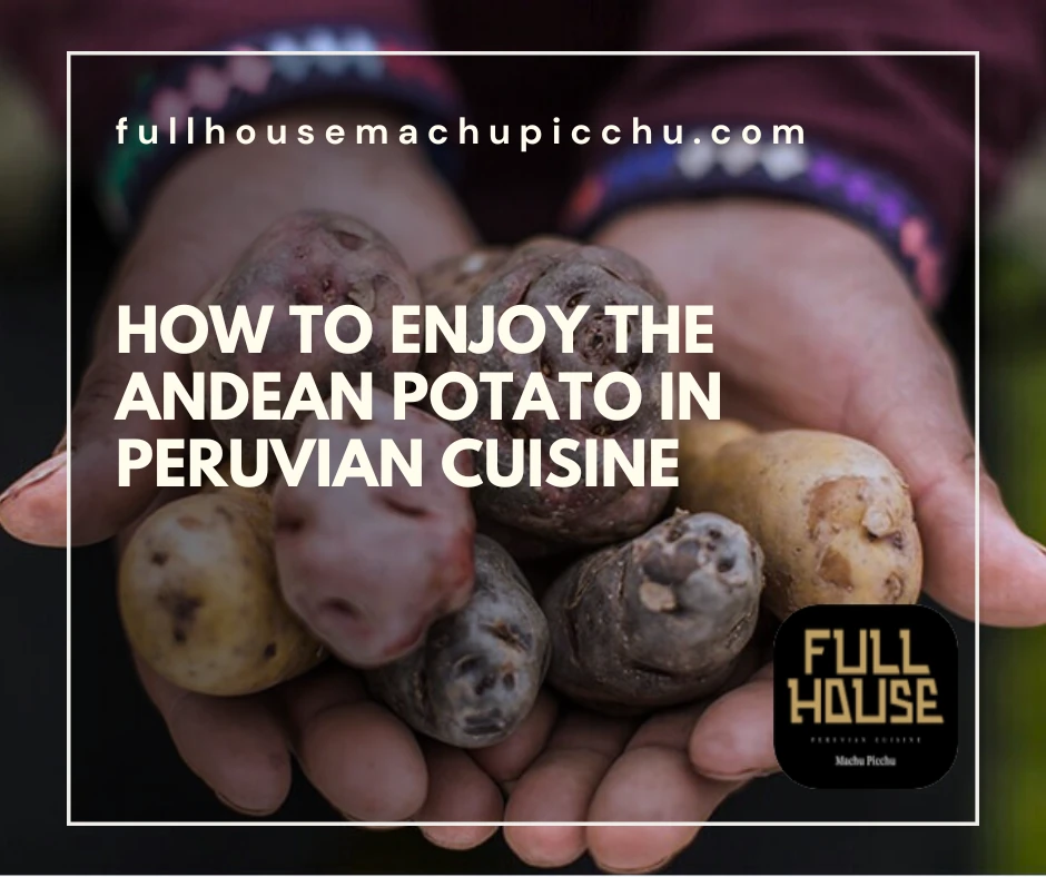 How to Enjoy the Andean Potato in Peruvian Cuisine