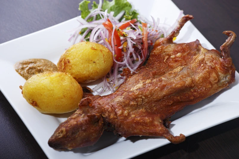 Fried guinea pig 