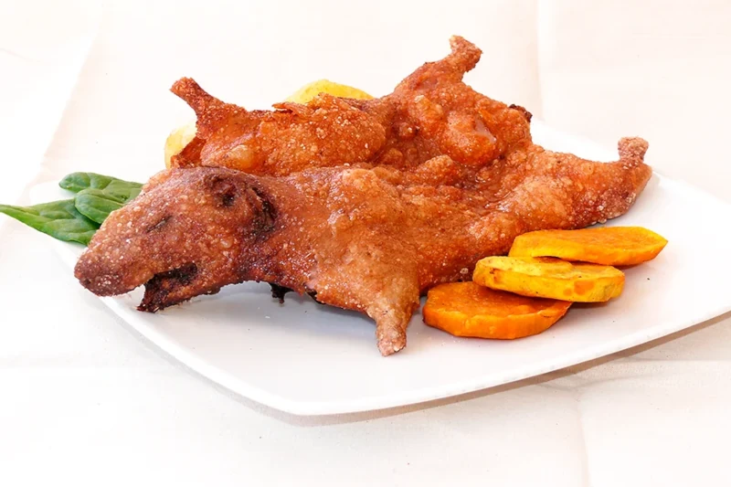 Fried guinea pig 